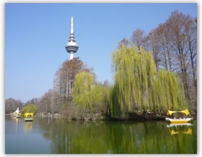 Luisenpark und langer Lulatsch Luisenpark und langer Lulatsch